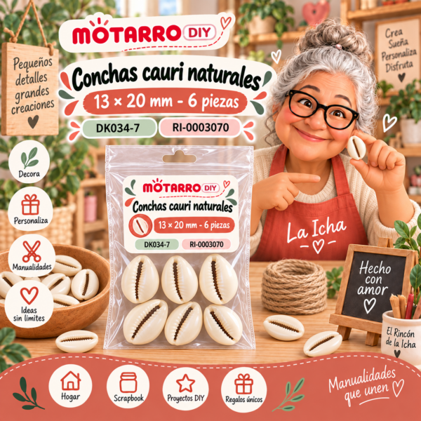 Conchas cauri naturales – 13 × 20 mm – 6 piezas
