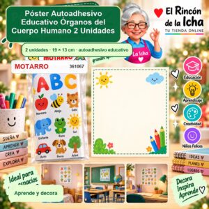 Póster Autoadhesivo Educativo Motarro Órganos del Cuerpo Humano 2 Unidades