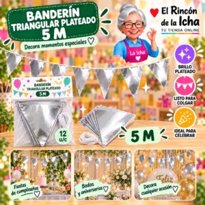 RI-0010210 Banderín Triangular Plateado De 5 Metros Feliz