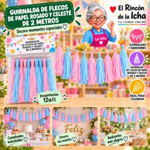 RI-0010247 Guirnalda De Flecos De Papel Rosado Y Celeste De 2 Metros Feliz