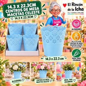 RI-0010896 14.3 X 22.3cm Centros De Mesa Macetas Celeste 14.3 X 22.3cm Feliz