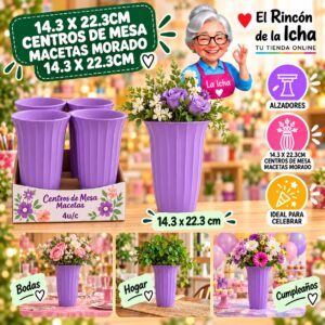 RI-0010897 14.3 X 22.3cm Centros De Mesa Macetas Morado 14.3 X 22.3cm Feliz