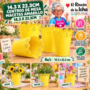 RI-0010899 14.3 X 22.3cm Centros De Mesa Macetas Amarillo 14.3 X 22.3cm Feliz