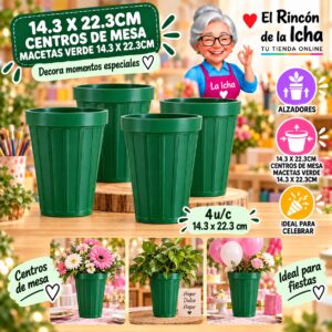 RI-0010900 14.3 X 22.3cm Centros De Mesa Macetas Verde 14.3 X 22.3cm Feliz
