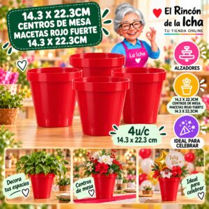 RI-0010902 14.3 X 22.3cm Centros De Mesa Macetas Rojo Fuerte 14.3 X 22.3cm Feliz