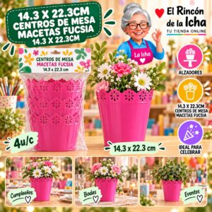 RI-0010904 14.3 X 22.3cm Centros De Mesa Macetas Fucsia 14.3 X 22.3cm Feliz