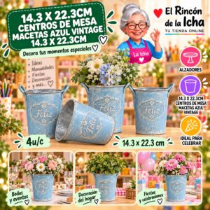 RI-0010908 14.3 X 22.3cm Centros De Mesa Macetas Azul Vintage 14.3 X 22.3cm Feliz