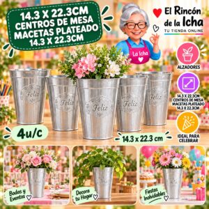RI-0010912 14.3 X 22.3cm Centros De Mesa Macetas Plateado 14.3 X 22.3cm Feliz
