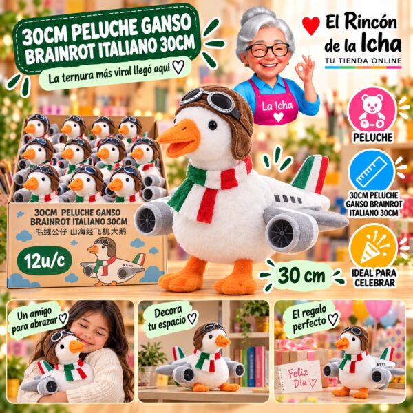 30cm Peluche Ganso Brainrot Italiano 30cm Feliz