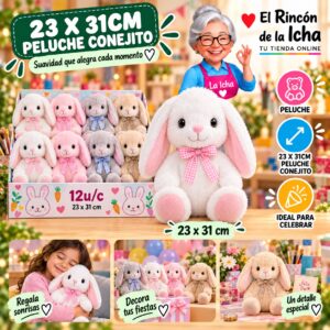 RI-0011011 23 X 31cm Peluche Conejito Feliz