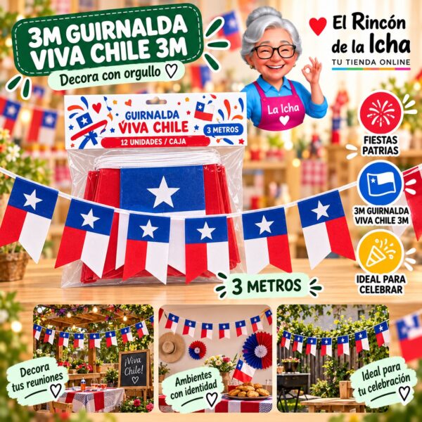 RI-0011094 3m Guirnalda Viva Chile 3m Feliz Ref. 420082