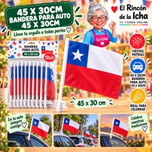 RI-0011111 45 X 30cm Bandera Para Auto 45 X 30cm Feliz